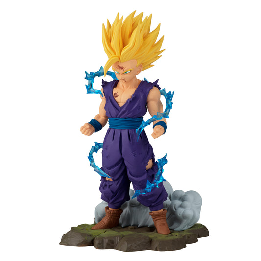 Dragon Ball Z History Box Vol.10 (Gohan) [5 per Case]