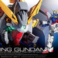 #42 Shining Gundam "G Gundam", Bandai Hobby RG 1/144 [20 per Case]
