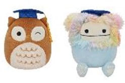 8" Squishmallow Specialty Graduation Day Assortment [24 per Case]