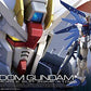 #5 Freedom Gundam "Gundam SEED", Bandai RG [24 per Case]